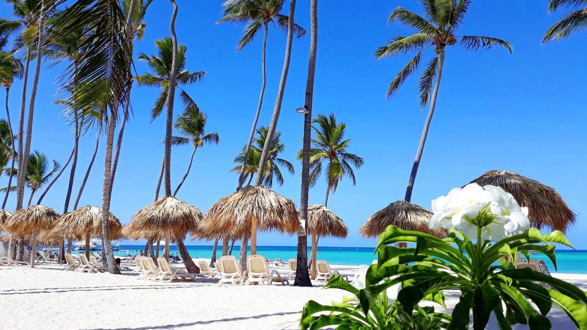 La Flor del Caribe Beach&SPA Punta Cana Villa