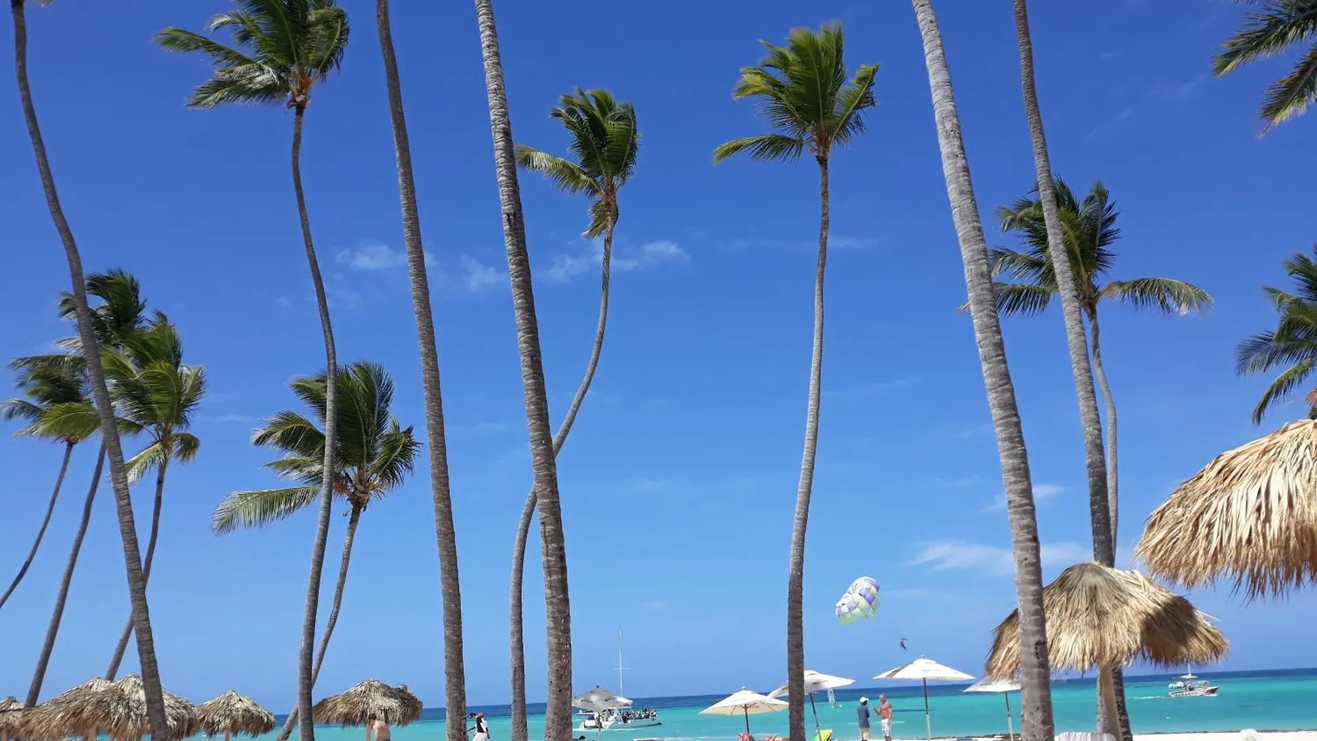 La Flor Del Caribe Beach & Spa Punta Cana 0*,  Repubblica Dominicana