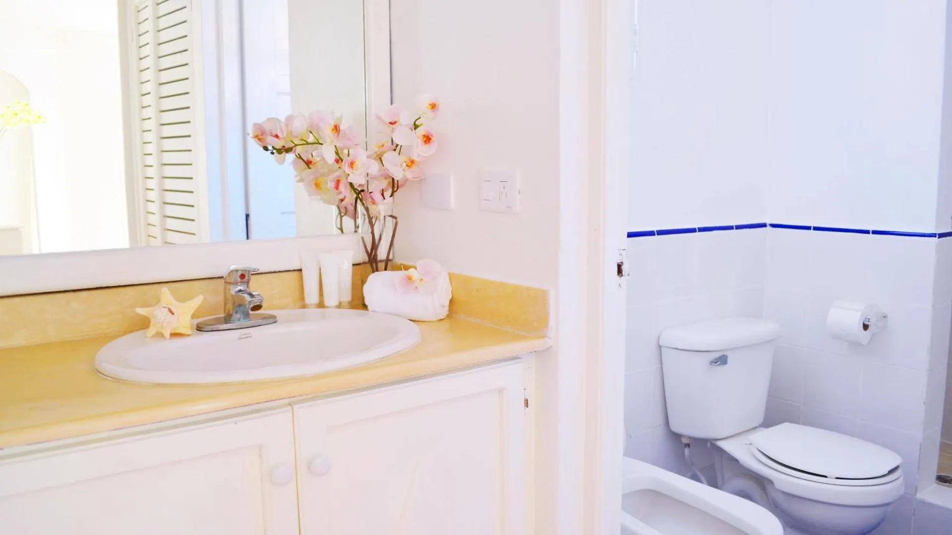 La Flor Del Caribe Beach & Spa 蓬塔卡纳 别墅