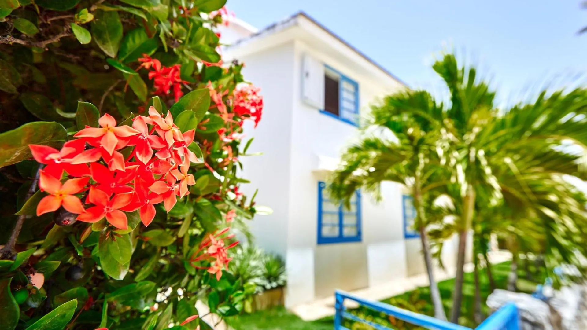 La Flor Del Caribe Beach & Spa Punta Cana 0*,